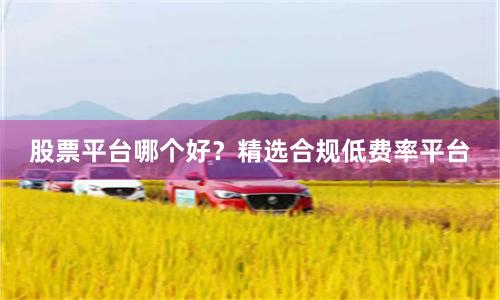 股票平台哪个好？精选合规低费率平台