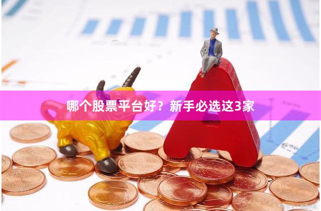 哪个股票平台好？新手必选这3家